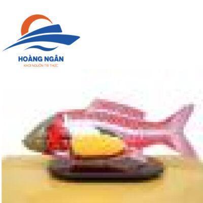 Mô hình cấu tạo Cá chép