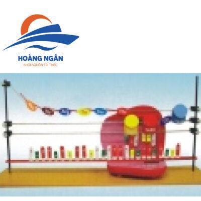 Mô hình tổng hợp phân tử Protein