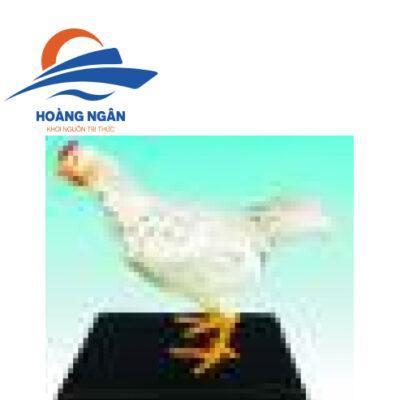 Mô hình cấu tạo con Gà